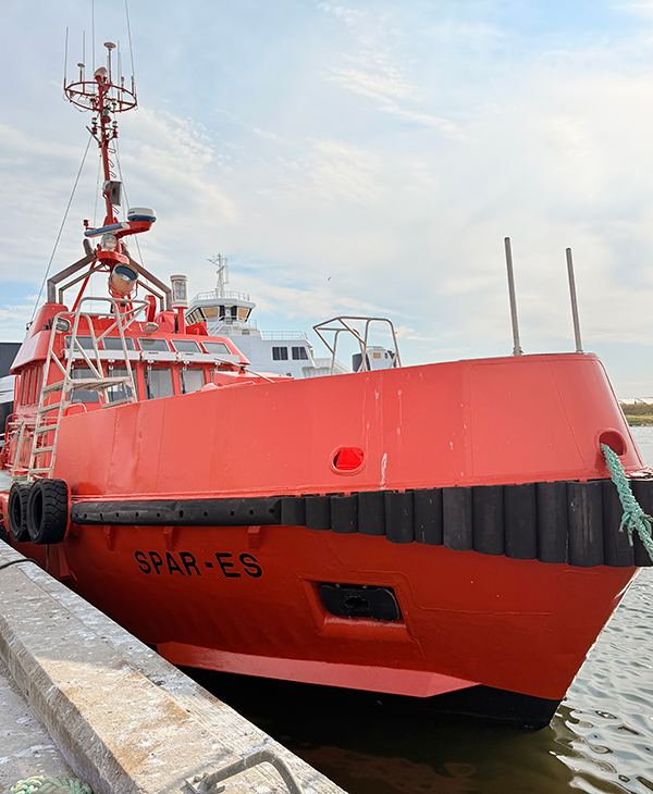 Spar-es---hjemmeside---600x730-02